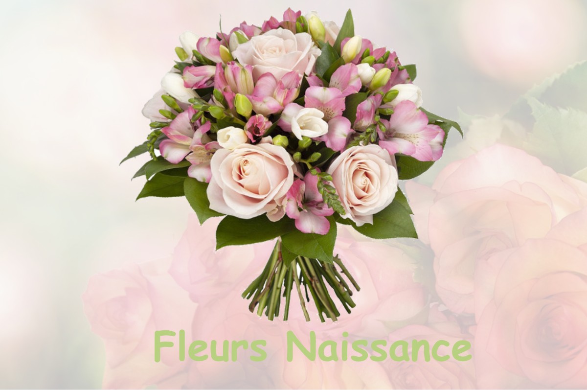 fleurs naissance SAINT-AY