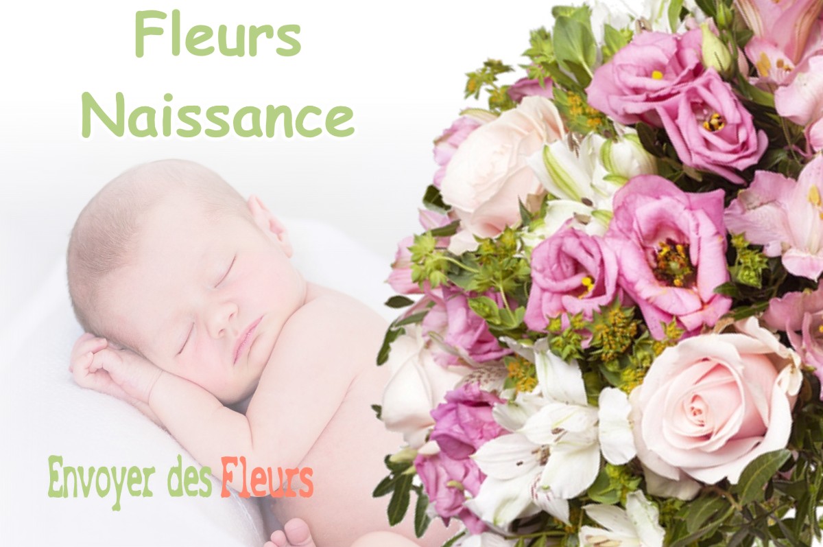 lIVRAISON FLEURS NAISSANCE à SAINT-AY